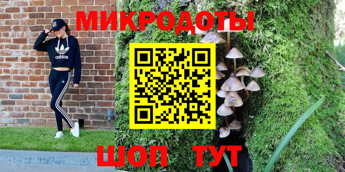 Галлюциногенные грибы Psilocybine cubensis Геленджик