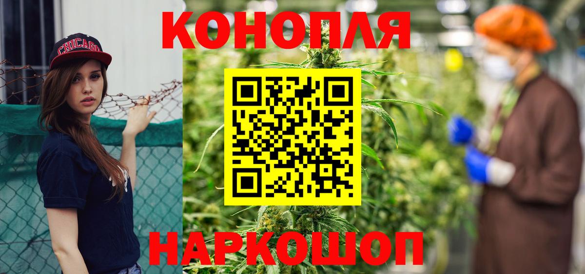Бошки Шишки планчик Геленджик